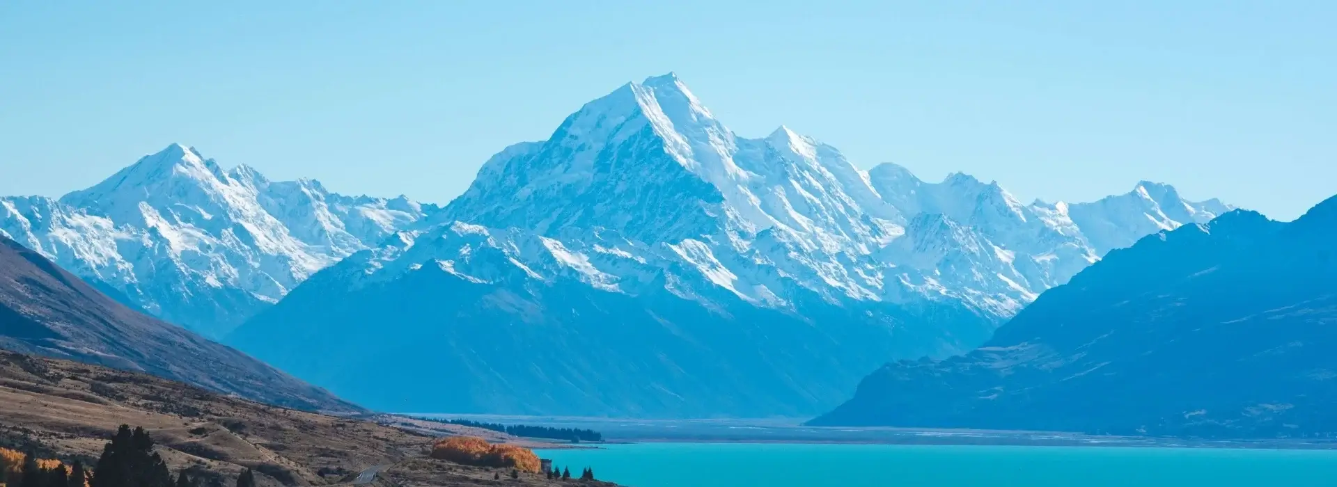new zealand visa